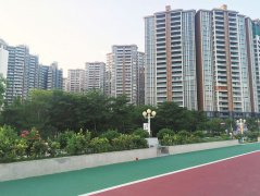 澳门银河赌场_澳门银河网址_澳门银河网站_ 茂名日报社全媒体记者 梁雪玲 通讯