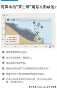 澳门银河赌场_澳门银河网址_澳门银河网站_为美国种植了大量大豆和玉米